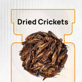 Dried Crickets