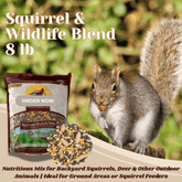 Backyard Squirrel Food 8 lb