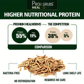 PROILGRUBS Mealworms