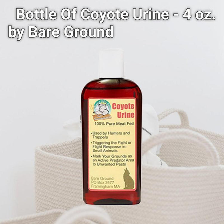 Coyote Urine