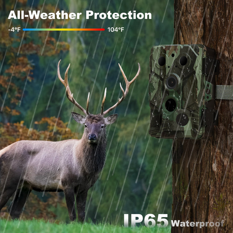 Hunting Camera With WIFI Hotspot Function - Trailmark Outdoors