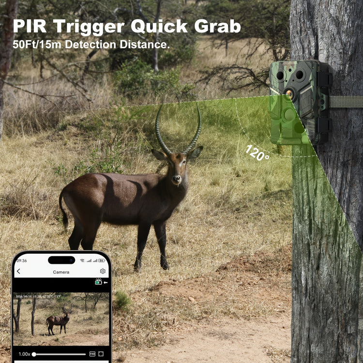 Hunting Camera With WIFI Hotspot Function - Trailmark Outdoors