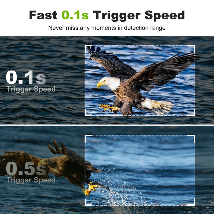 Hunting Camera With WIFI Hotspot Function - Trailmark Outdoors