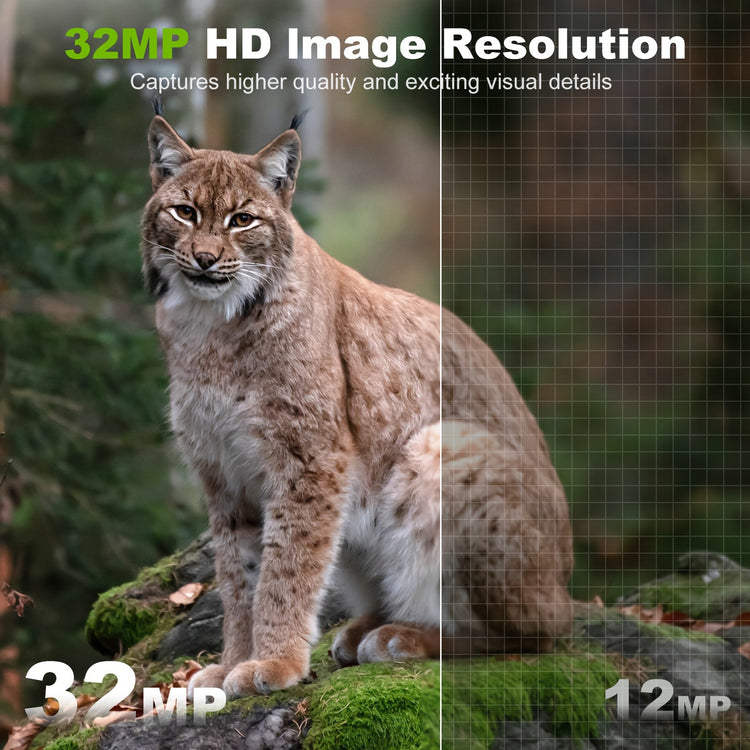 Hunting Camera With WIFI Hotspot Function - Trailmark Outdoors