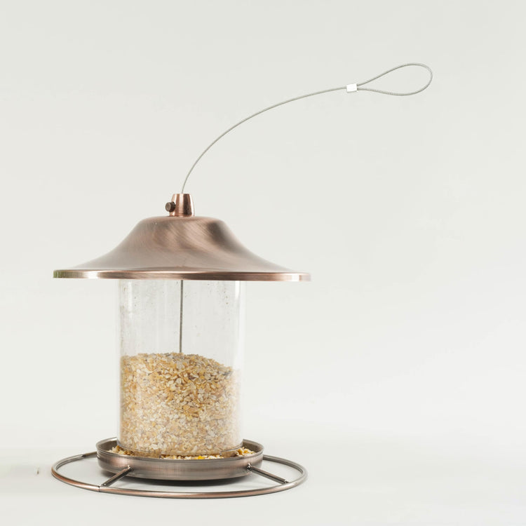 Cracked Corn Wild Bird & Backyard Wildlife Food