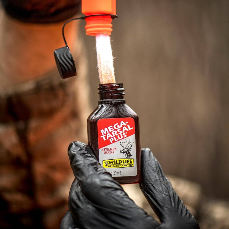 Tarsal Plus Whitetail Deer Attractor
