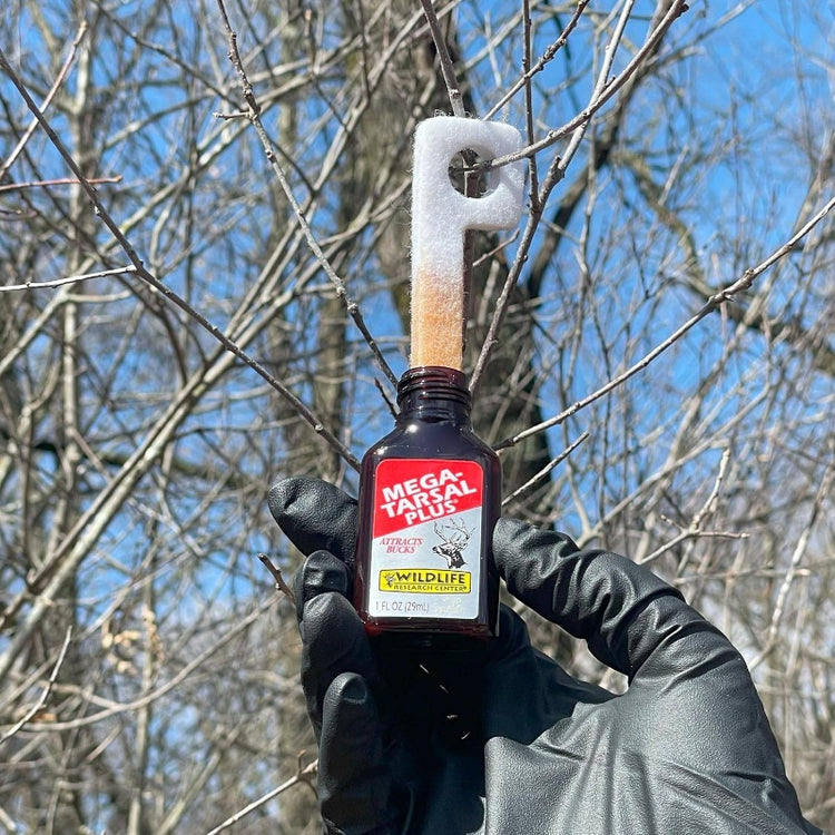 Tarsal Plus Whitetail Deer Attractor