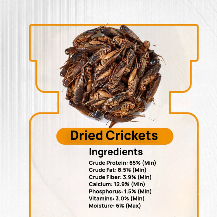 Dried Crickets