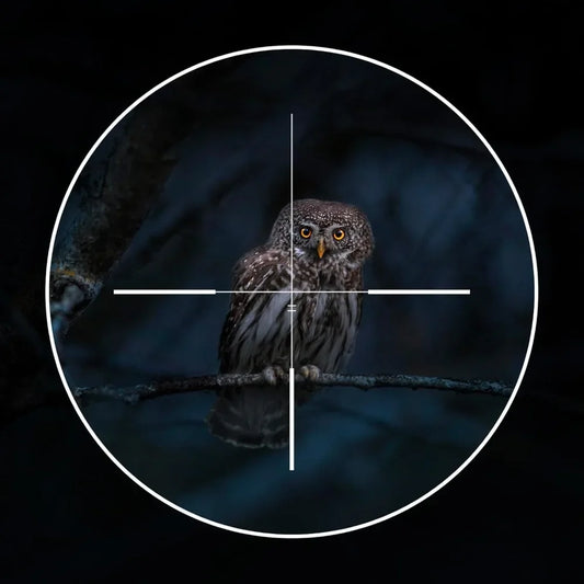 Night Vision Scope for Hunting