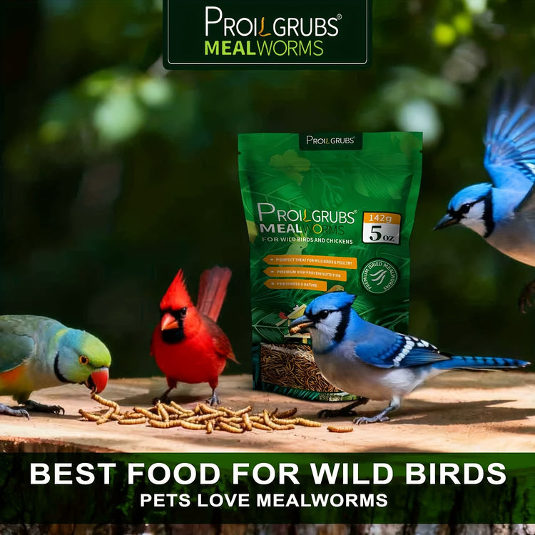 PROILGRUBS Mealworms
