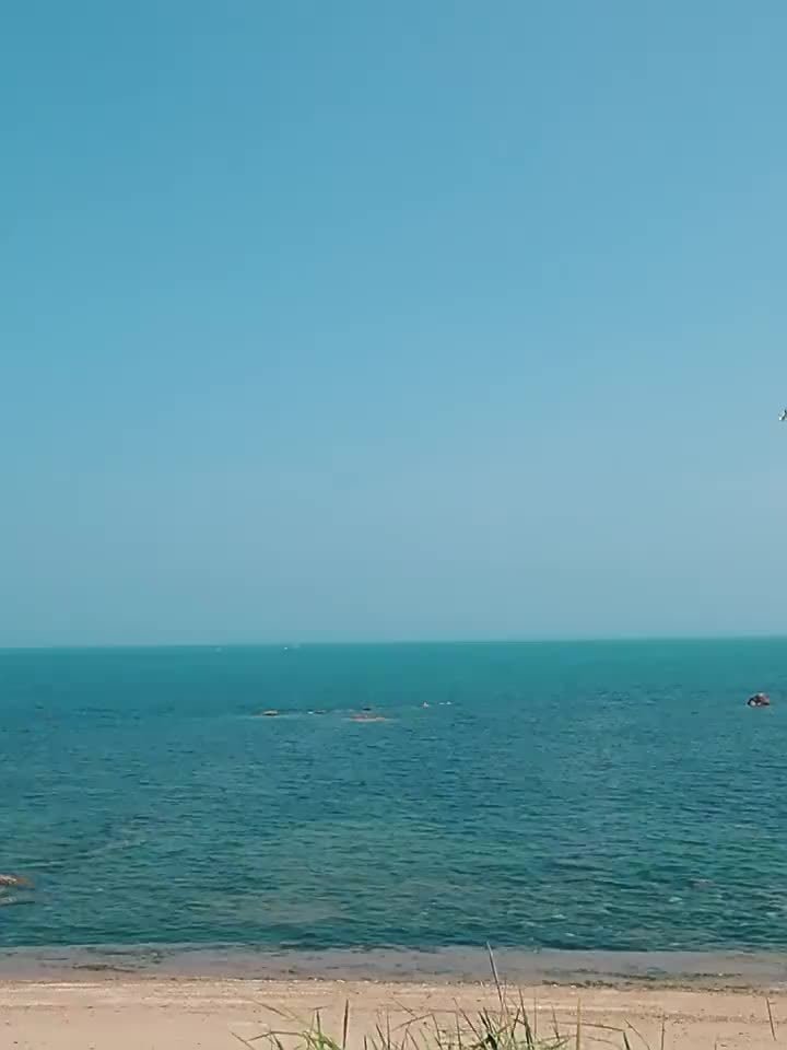 Fishing Tackle Set - Trailmark Outdoors