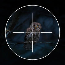 Night Vision Scope for Hunting - Trailmark Outdoors