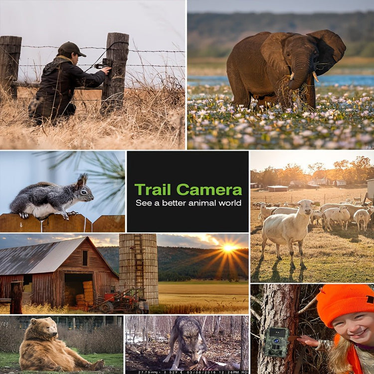 [Trail Camera] - 4K 48MP Game Camera - Trailmark Outdoors